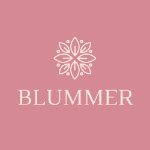 blummer store - natural foods store